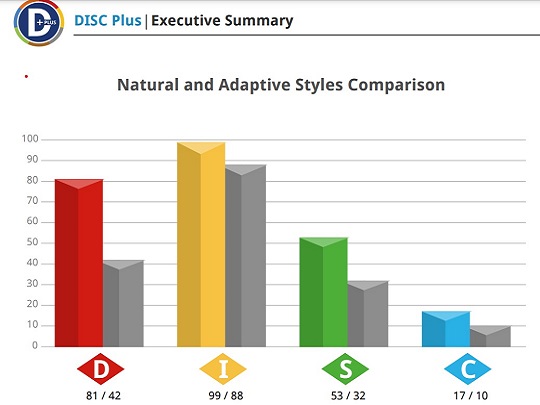 DISC Assessment